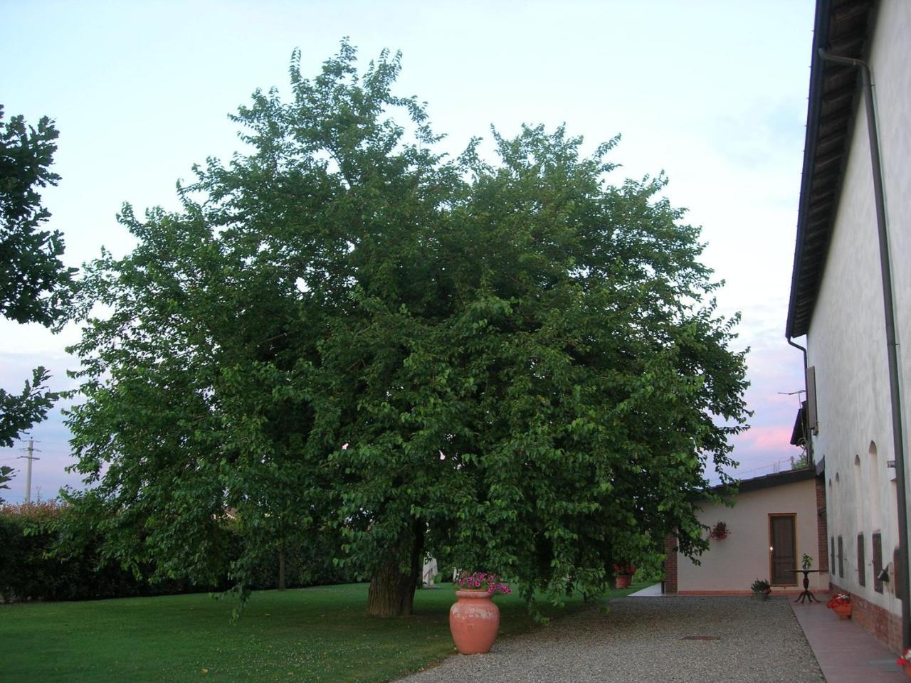 Agriturismo Campass Castelvetro Piacentino Exterior photo